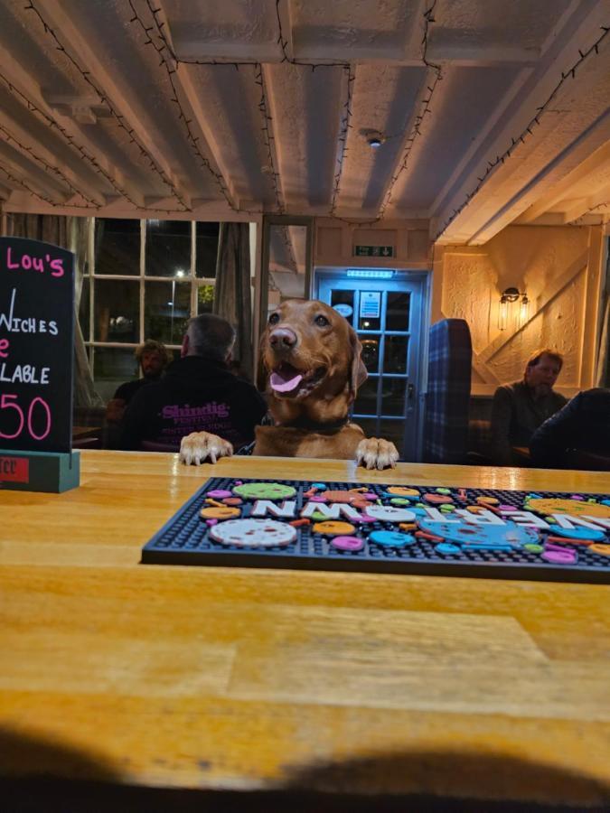 Dog And Partridge Inn Calne Exteriér fotografie